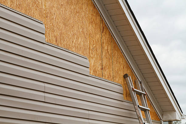 Professional Wood Siding technician working in Buffalo Grove, IL